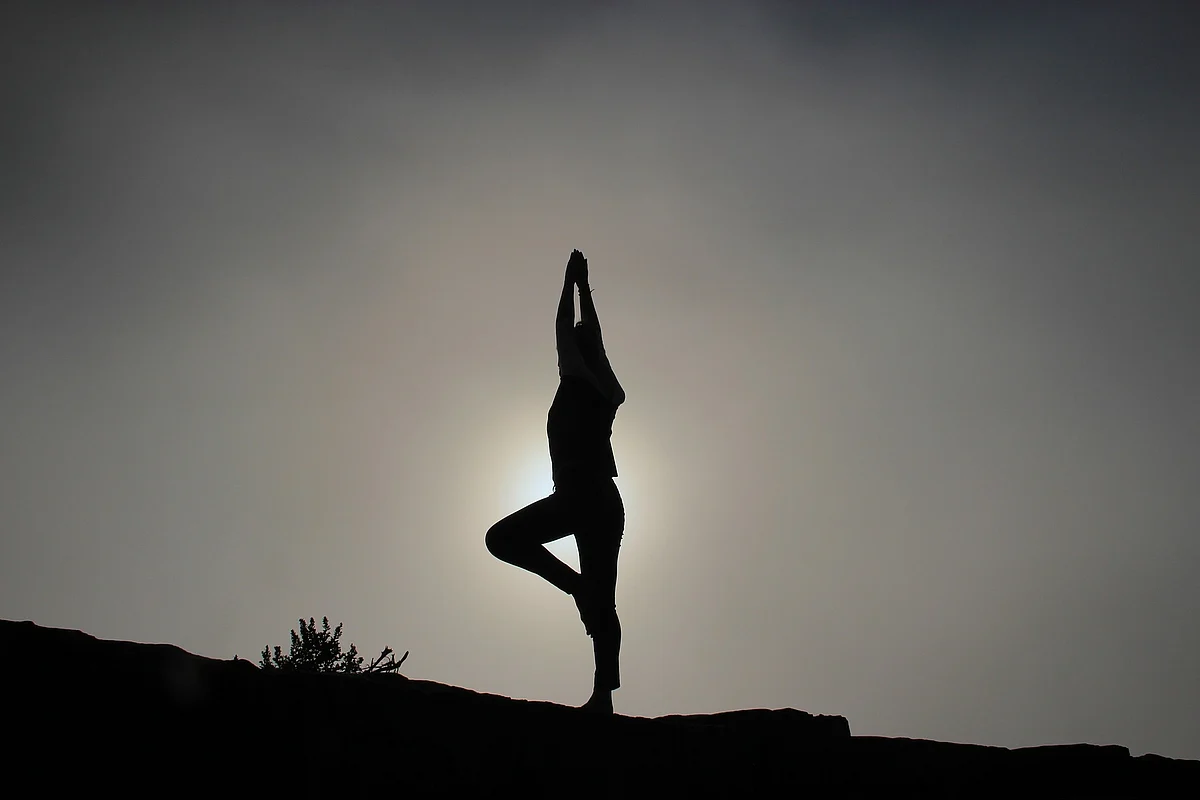 Foreigners return home with ‘mudra and meditation’