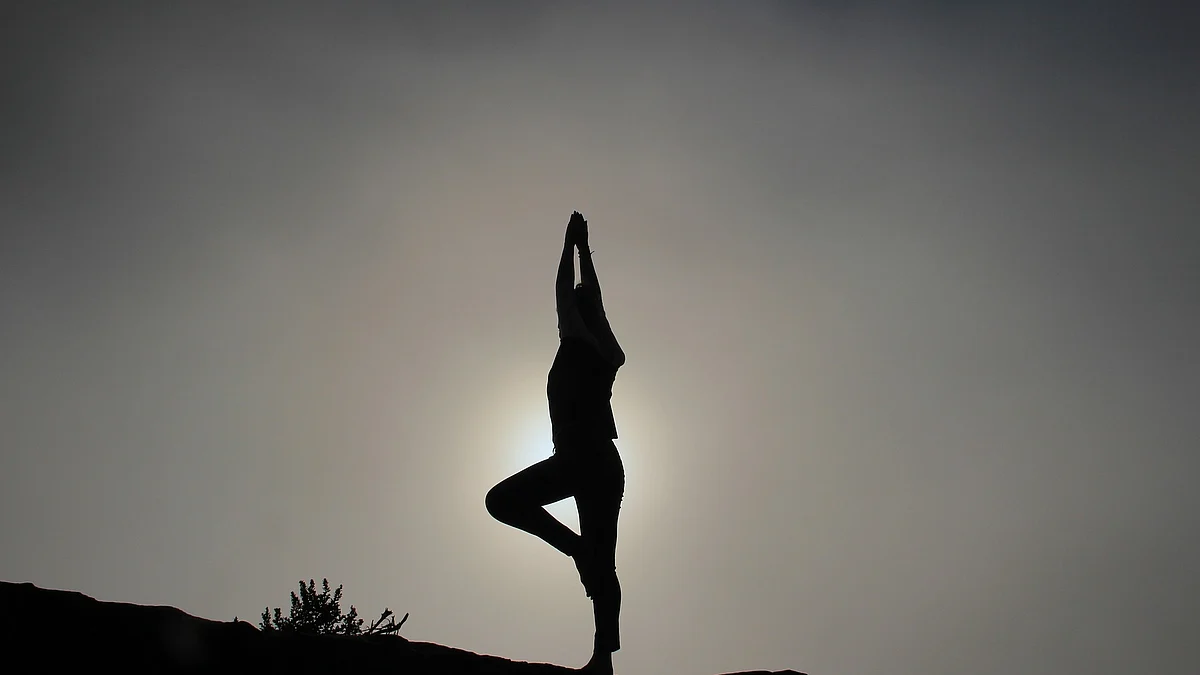 Foreigners return home with ‘mudra and meditation’