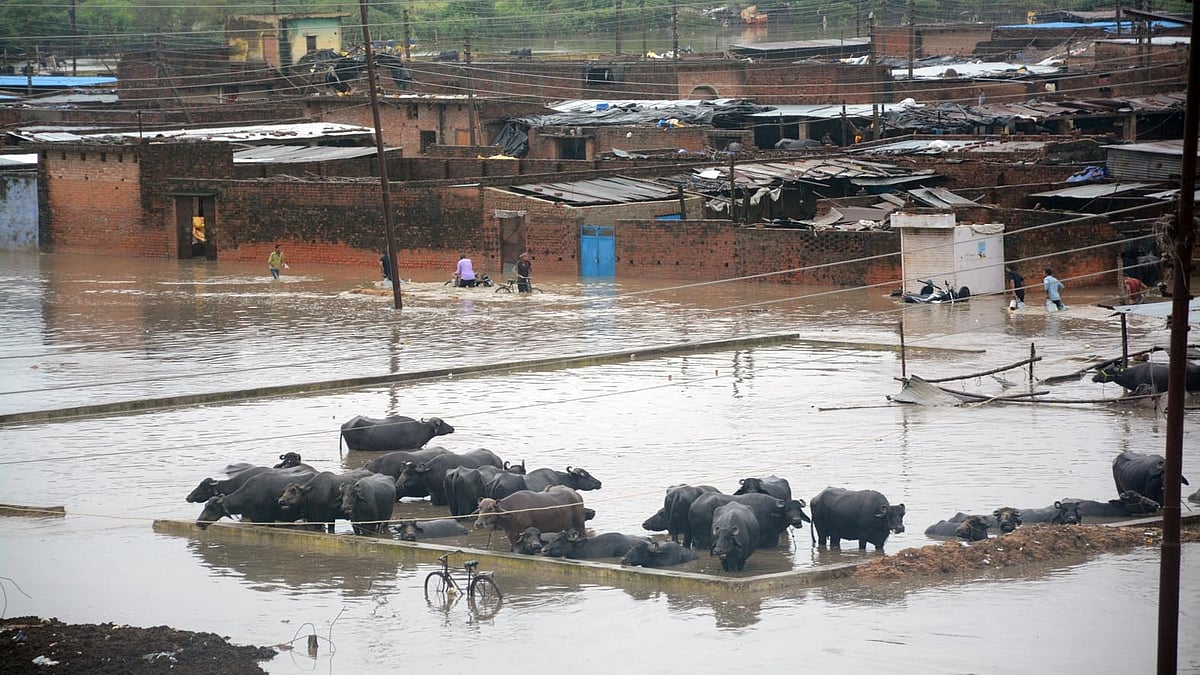 IANS Photo/Representative image
