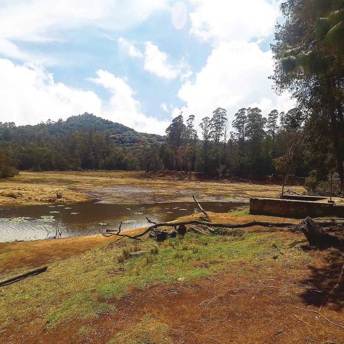 The magic of Kodaikanal 