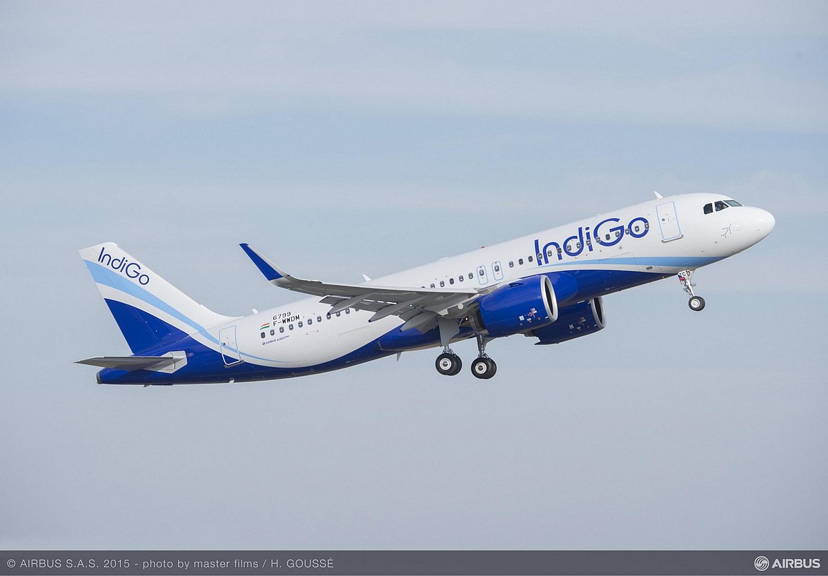 IndiGo server collapses, long queues at airports