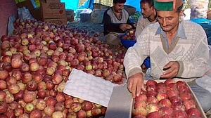 Representational image (Photo courtesy: Social Media)