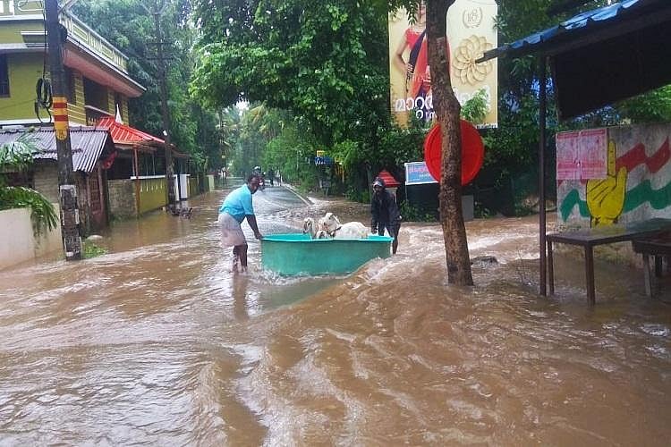 Modi Govt Rejects Kerala Govt’s request for free rice for flood victims      