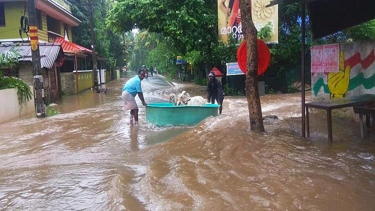 Modi Govt Rejects Kerala Govt’s request for free rice for flood victims