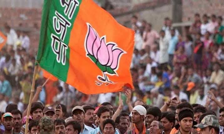 Delhi BJP forms 3-member committee to probe scuffle among party councillors