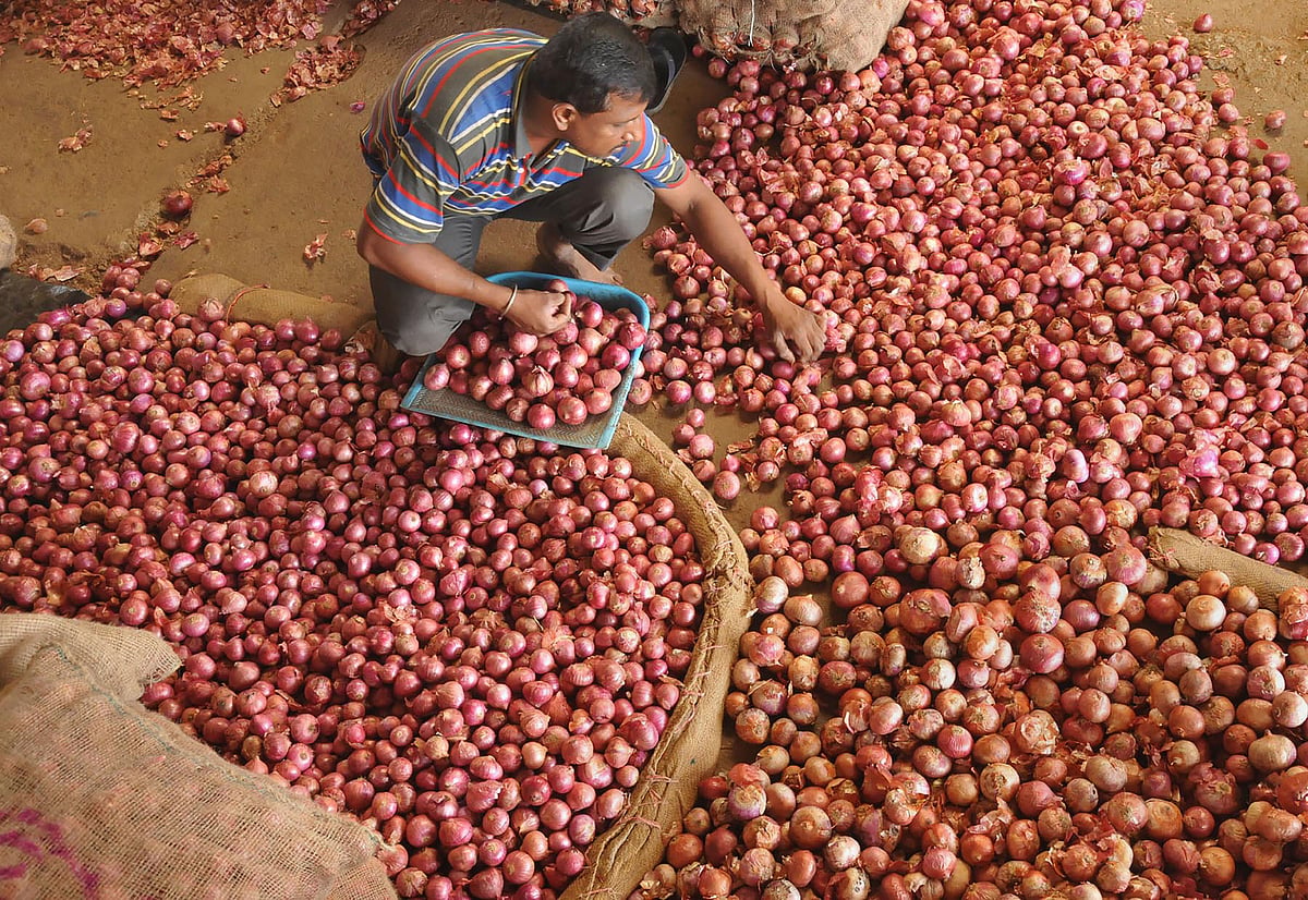 Onion saga: Imported  at whopping ₹58/kg, govt now  forced to sell it  for ₹6/kg
