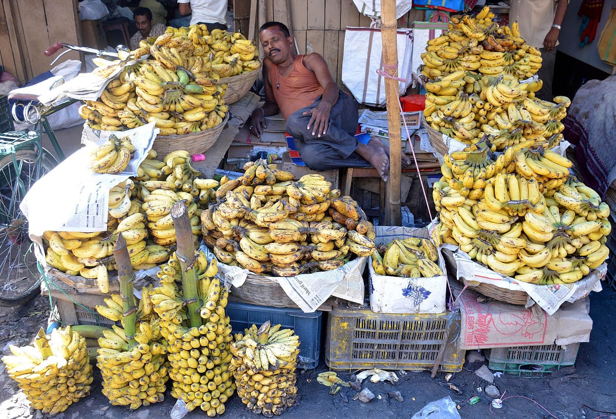 Lucknow institute  to curb ‘banana emergency’