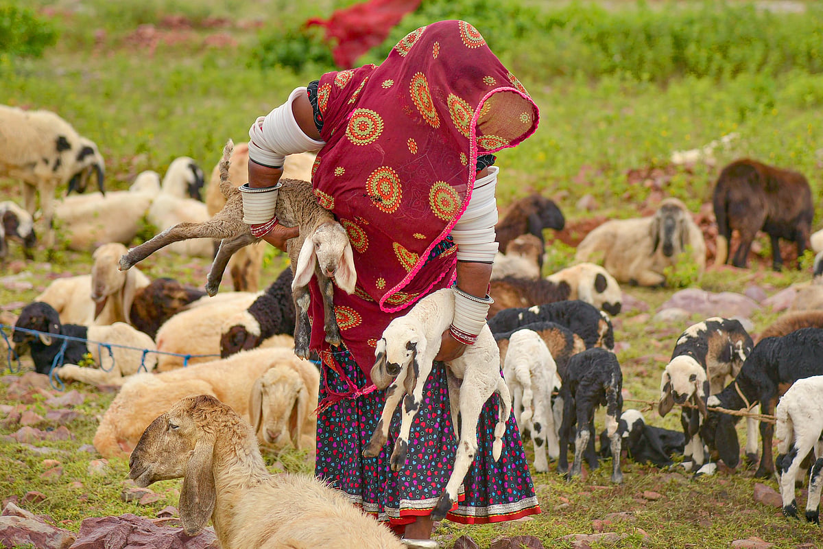 September 20: Delhi and beyond, in pictures