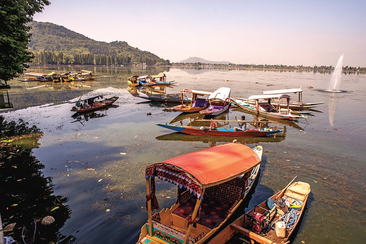 “Modi has destroyed us,” laments vendor in Srinagar, wonders why honeymooning couples would return