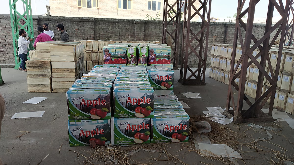 Cartons of Kashmir apples lying in the mandi (NH photo/Majid Maqbool)