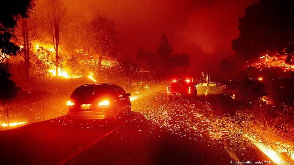Scorched earth: Record 2 million acres burned in California