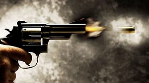 RSS activists brandish guns, open fire at a function in UP
