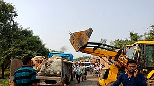 12 cows killed in Uttar Pradesh road accident