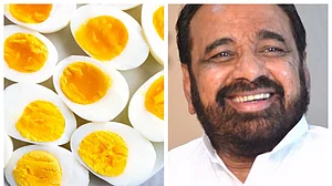 Eating eggs may turn people into cannibals: BJP leader Gopal Bhargava