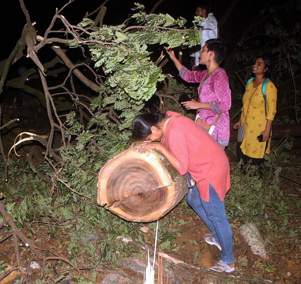  Not stopping construction of Metro shed project in Aarey colony, says Supreme Court