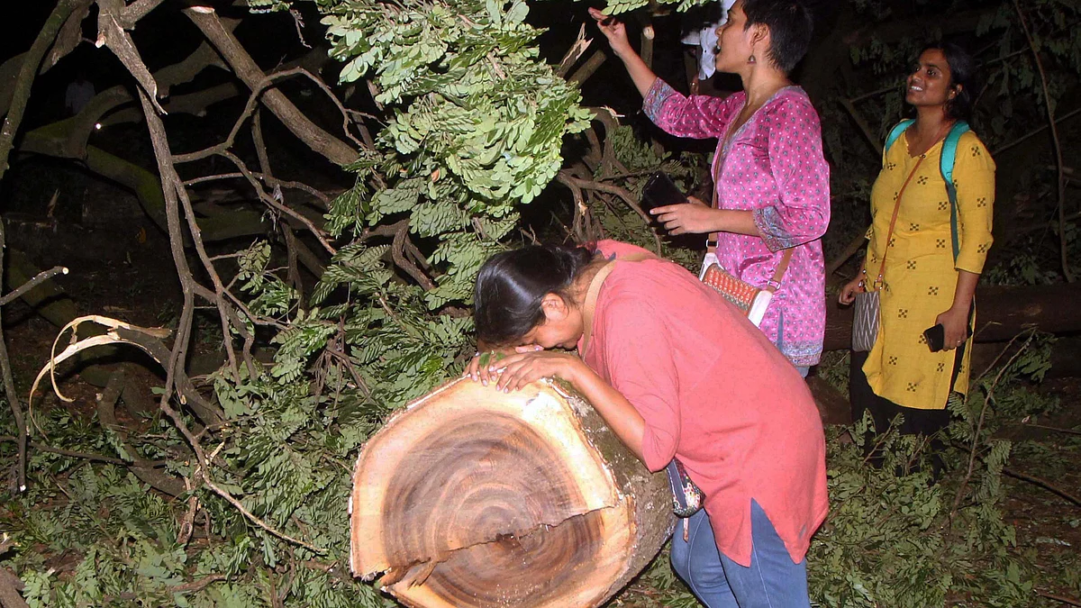 People enter the metro car shed on the spot during tree cutting at Aarey colony in Mumbai late Friday. (PTI Photo)