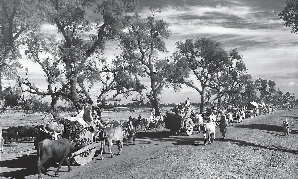 A moving and visceral account of Partition