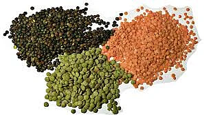 Pulses