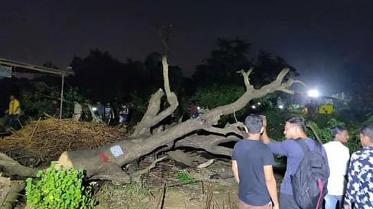 Don’t cut any more trees now, says SC to Maharashtra Govt; orders release of all activists