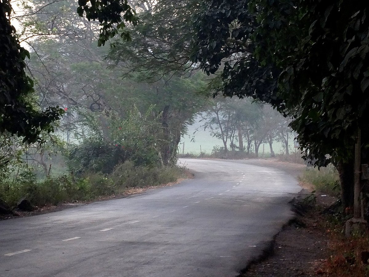 Section 144 imposed in Aarey Colony following protests over tree cutting