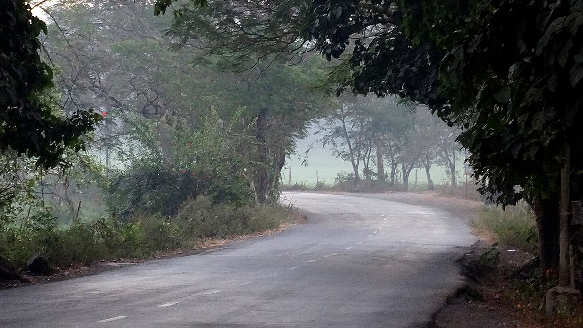 Section 144 imposed in Aarey Colony following protests over tree cutting