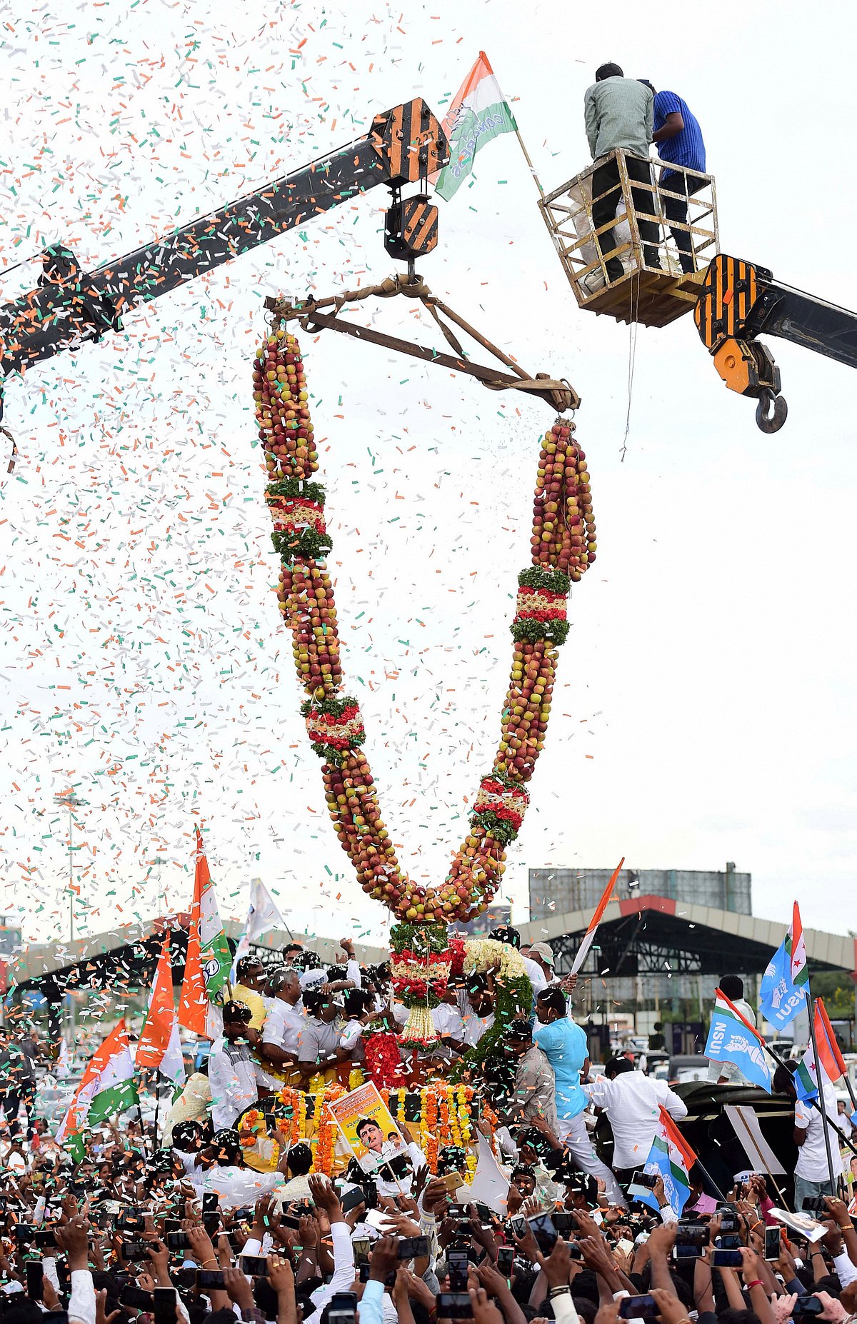 Supporters welcome Congress leader D K Shivakumar with a huge garland made with apples, on his arrival in Bengaluru on Saturday, Oct 26, 2019. (PTI Photo)