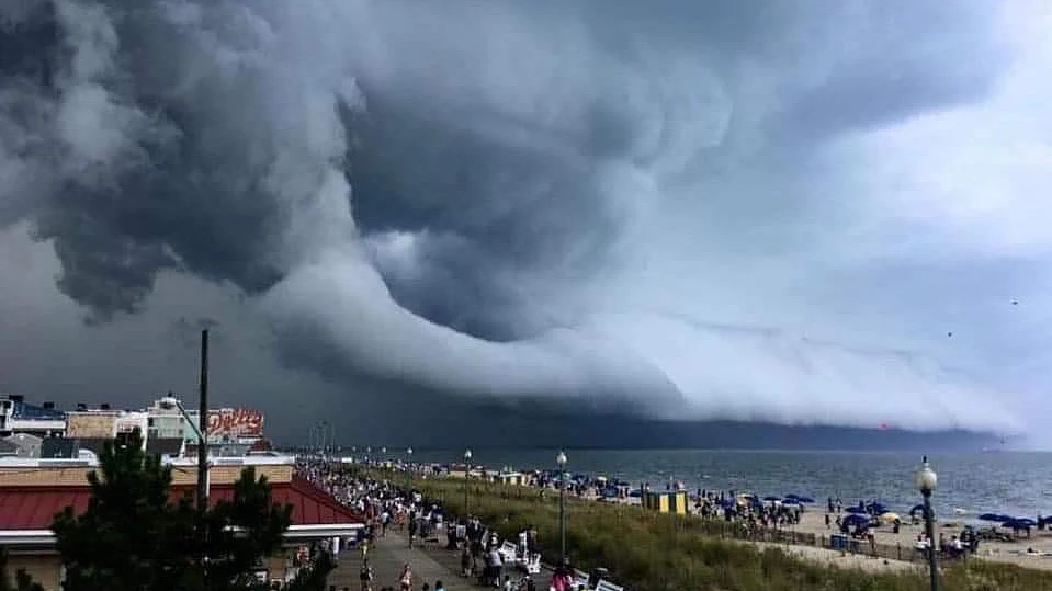 Typhoon Hagibis (Photo courtesy: Twitter)