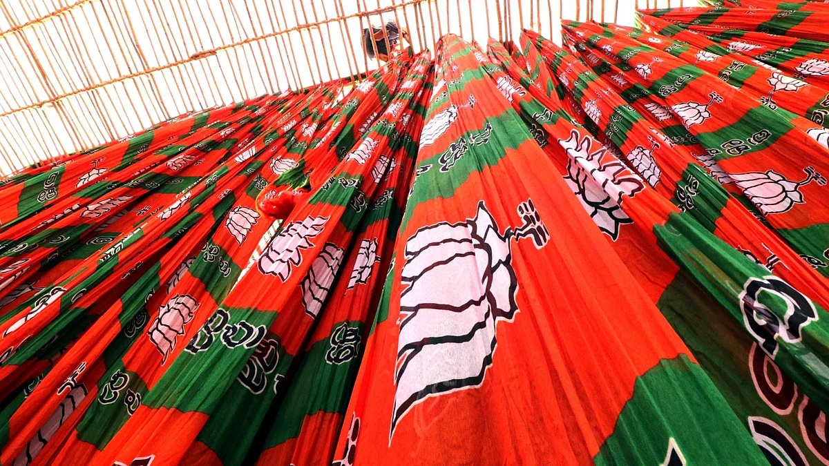 Bharatiya Janata Party flags (Photo: NH Library)