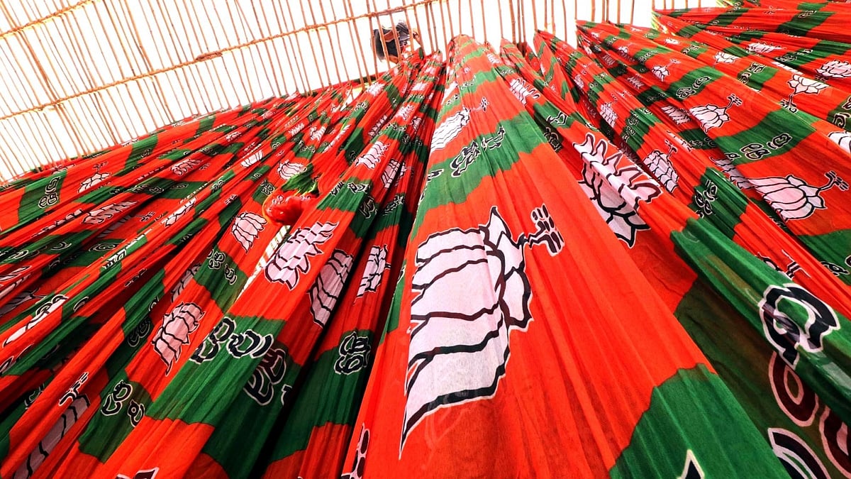 Bharatiya Janata Party flags (Photo: NH Library)