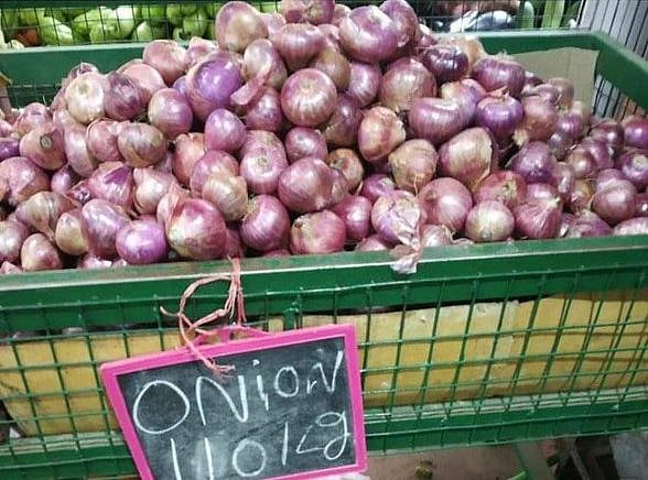 Congress attacks Modi govt on skyrocketing onion prices