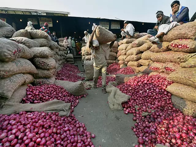 NCCF to sell buffer onion at subsidised rate of Rs 25/kg in Delhi from Monday