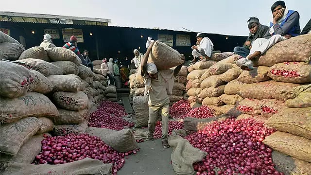The government has created a buffer stock of 3 lakh tonne of onion for 2023-24 fiscal