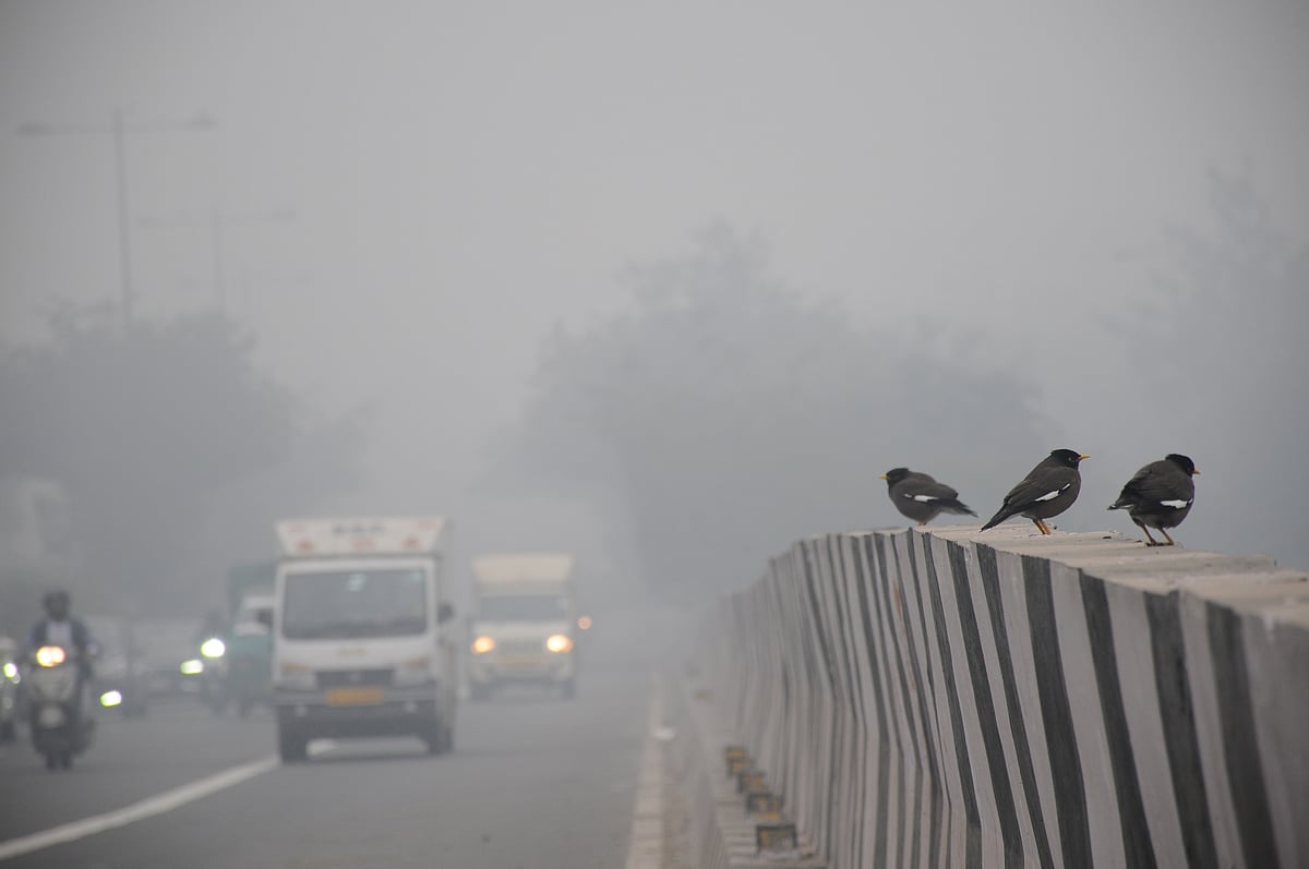 December 30: Delhi and beyond, in pictures