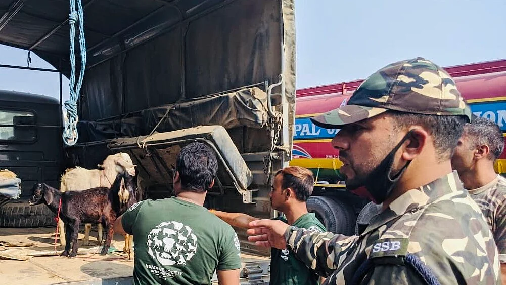 SSB checking animals movement at Indo-Nepal border (NH Photo by Biswajeet Banerjee)