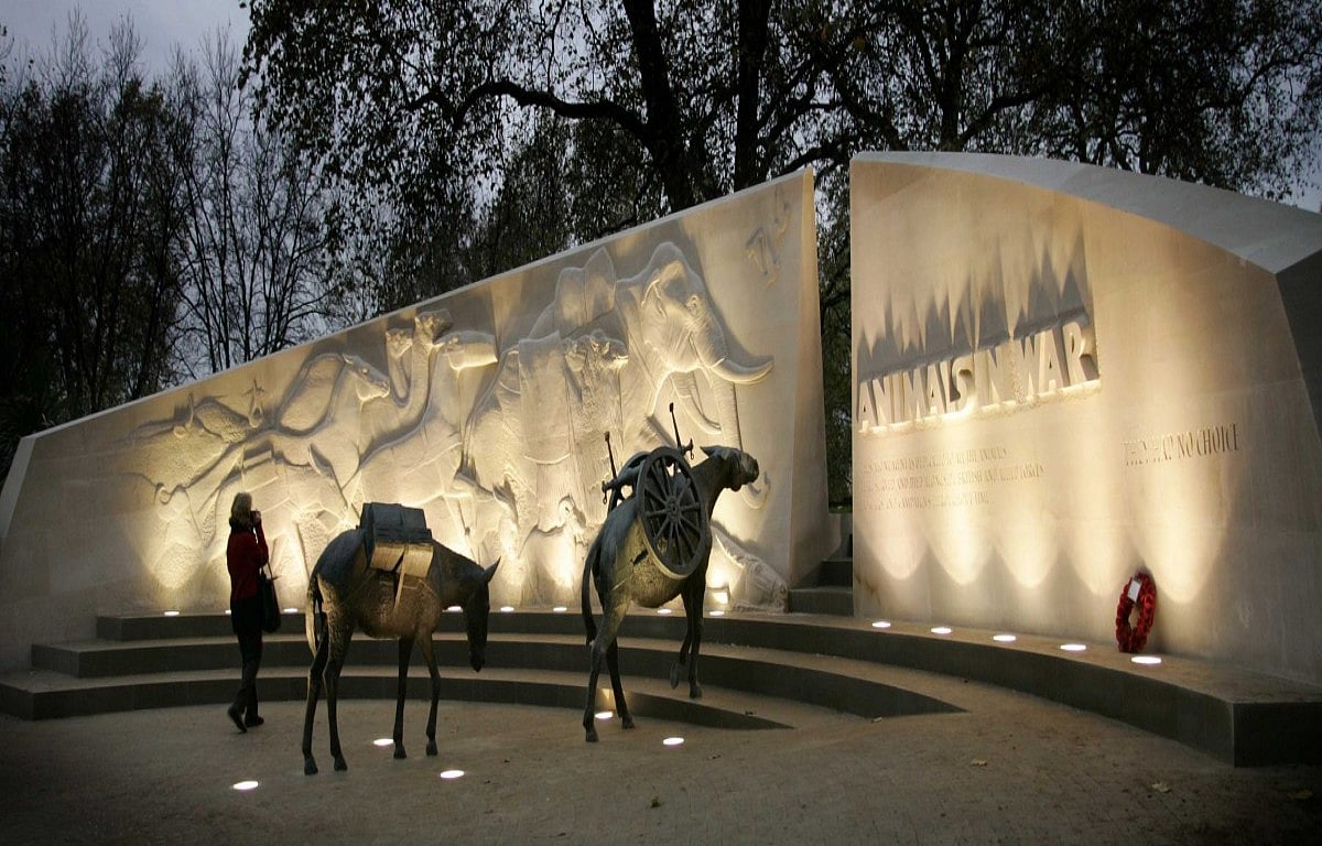 Meerut to have war memorial for animals