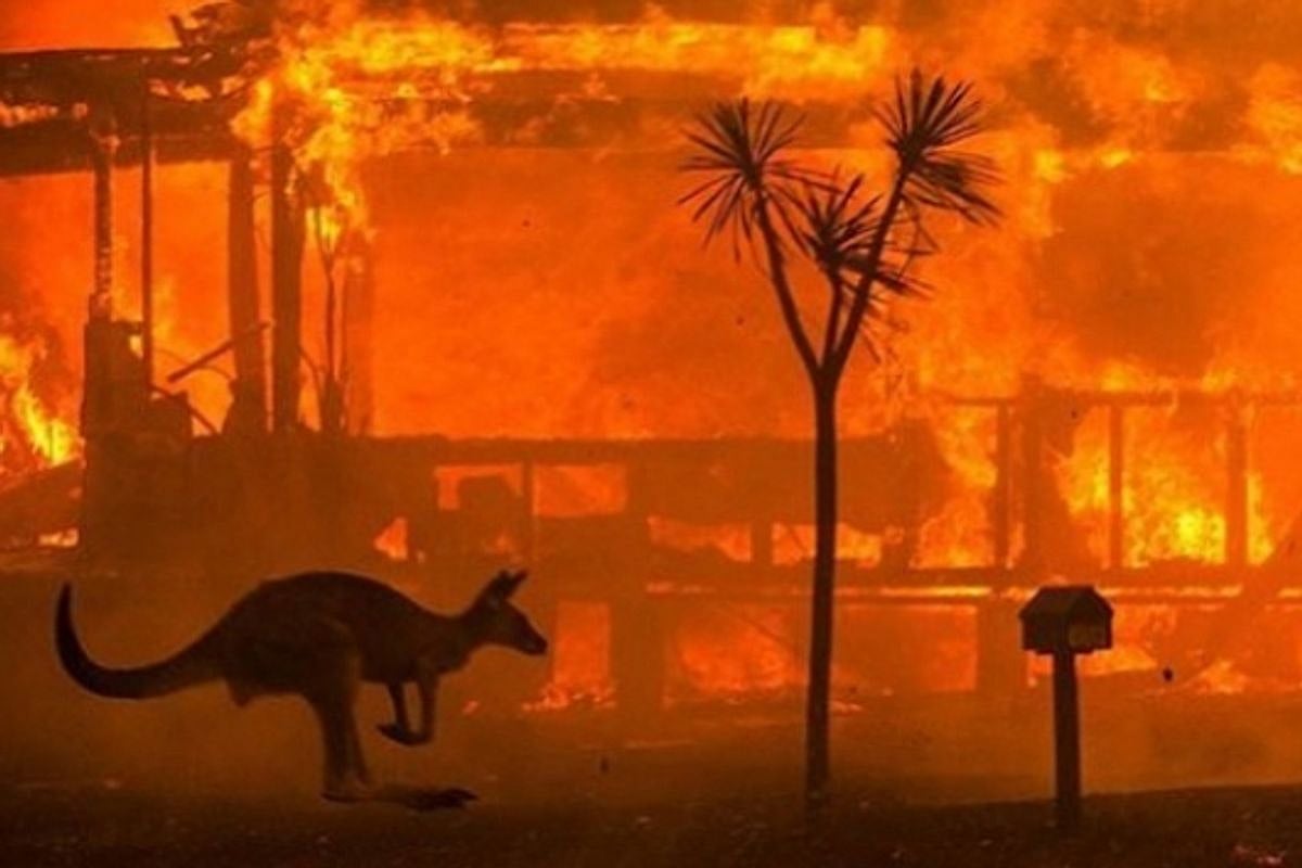 Research links Australian bushfires to ozone depletion