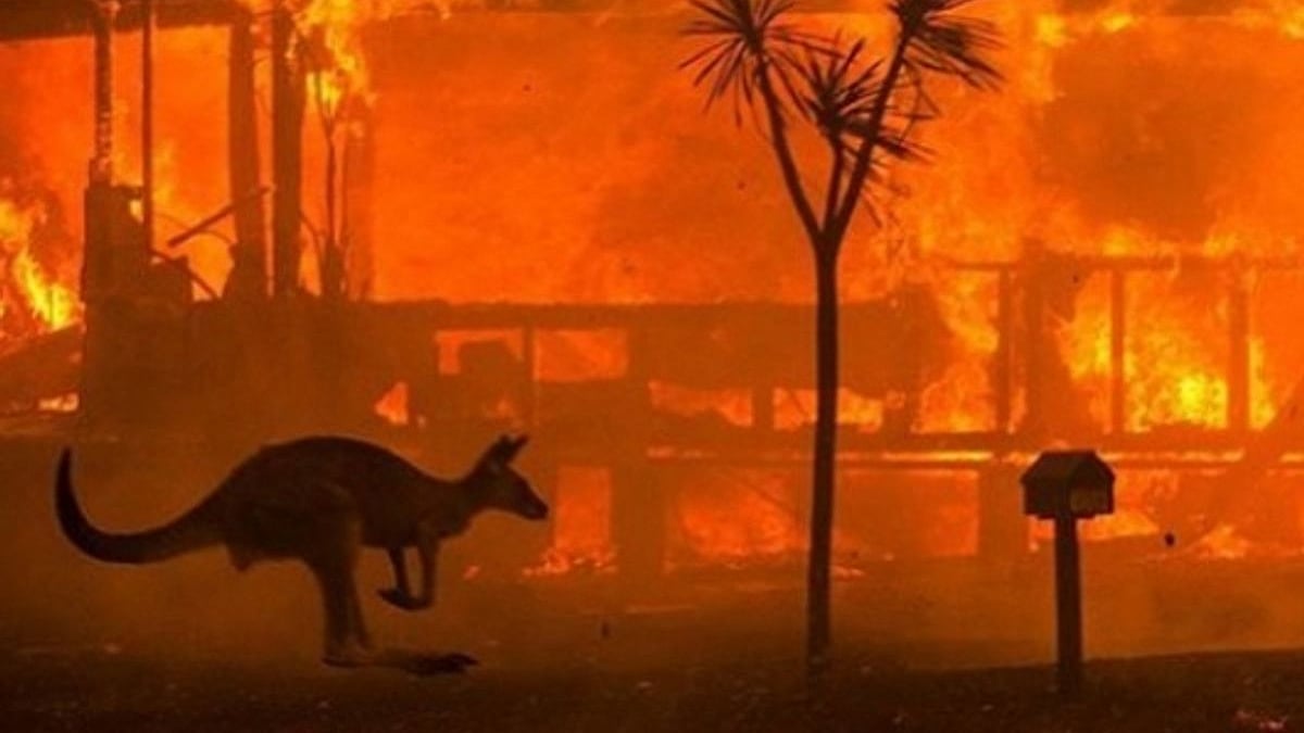 Australian bush fire (File Photo)