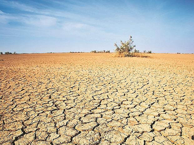 Representative Image (Photo Courtesy: Social Media)