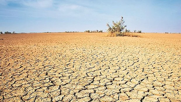 Representative Image (Photo Courtesy: Social Media)