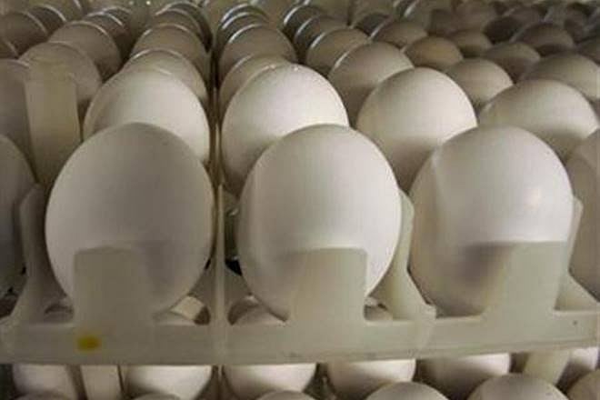 Poultry Federation against concession on United States dairy products