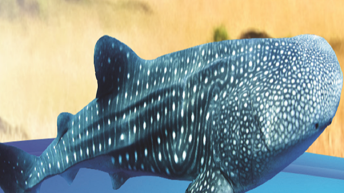 Gujarat and the gentle giant of the seas   