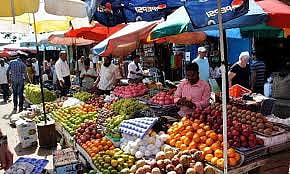 Modi Govt not to release survey showing first decline in consumer spending in over 40 years  