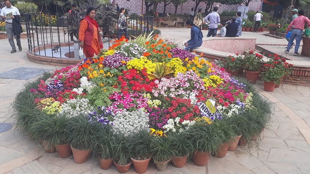 February 29: Delhi and beyond, in pictures