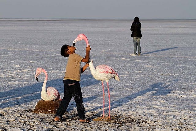 The hub of birds getting choked with human waste