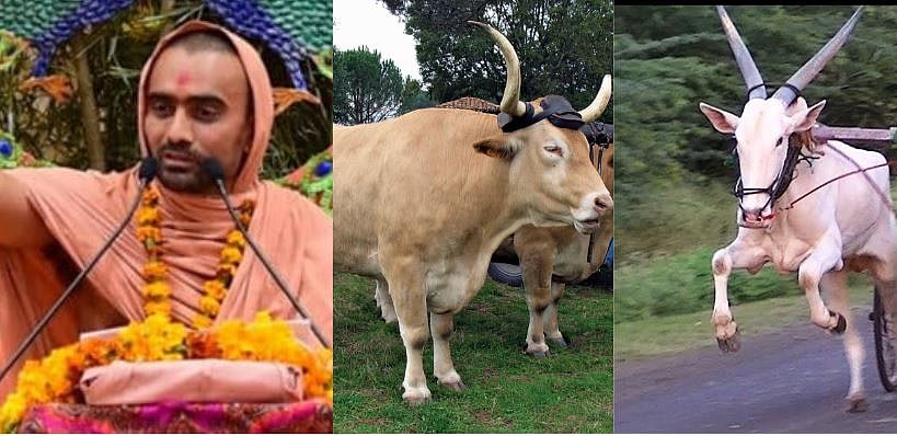Men run the risk of being reborn as bullocks and educated women of getting divorced