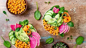 PETA suggests all-vegan food in midday meal