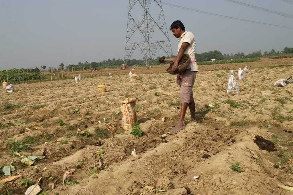  Over 5 crore farmers yet to get 3rd instalment of PM-Kisan scheme, reveals Govt data