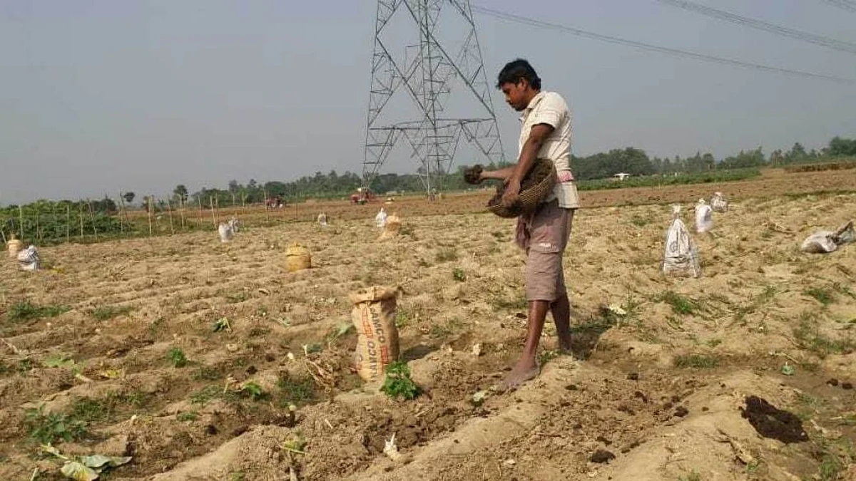  Over 5 crore farmers yet to get 3rd instalment of PM-Kisan scheme, reveals Govt data