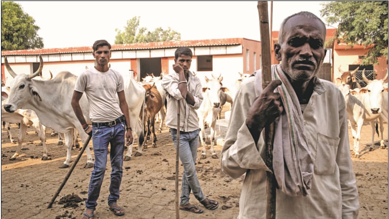‘My Son’s Inheritance’: The roots of the gauraksha movement
