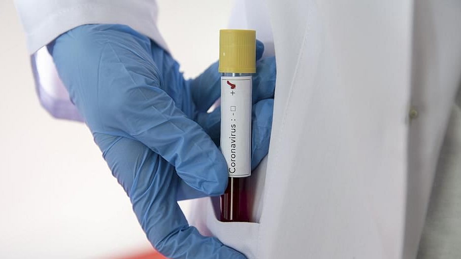 Drugs from antibodies of Covid-19 survivors